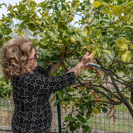 Macchia Dom wakacyjny *