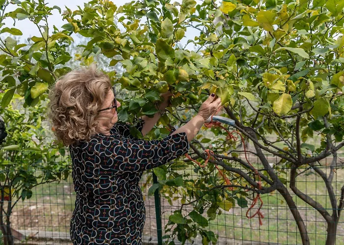 Macchia Casa vacanze *